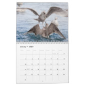 Calendrier Photos Faune Oiseaux 2027 (Jan 2027)