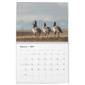 Calendrier Photos Faune Oiseaux 2027 (Feb 2027)