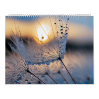 Photos macro de la nature