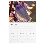 Calendrier Photos macro de la nature (Mar 2027)