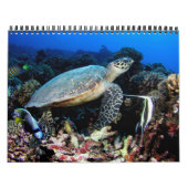 Calendrier Photos sous-marines 2015 (Protection)