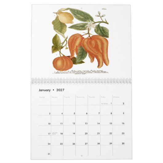 Calendrier Phytanthoza Iconographia (Jan 2027)