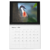 Calendrier Pigeons et colombes 2017 (Feb 2026)