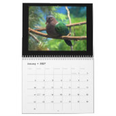 Calendrier Pigeons et colombes 2017 (Jan 2027)