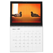 Calendrier Pigeons Extraordinaires (Mar 2027)