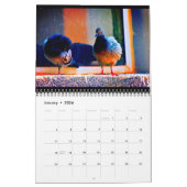 Calendrier Pigeons Extraordinaires (Jan 2026)