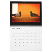 Calendrier Pigeons Extraordinaires (Mar 2026)