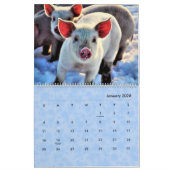 Calendrier Piggy 2024 (Jan 2026)