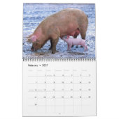 Calendrier Pigs 2016 (Feb 2027)