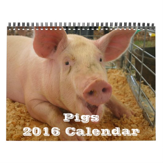 Calendrier Pigs 2016 (Protection)
