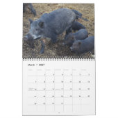 Calendrier Pigs 2016 (Mar 2027)