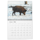 Calendrier Pigs 2016 (Jan 2026)