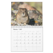 Calendrier Pika (Feb 2027)