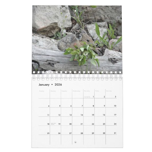 Calendrier Pika (Jan 2026)