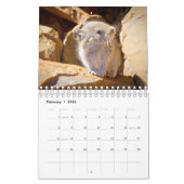 Calendrier Pika (Feb 2026)