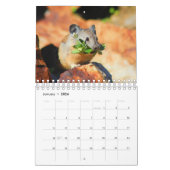 Calendrier Pika (Jan 2026)