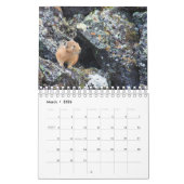 Calendrier Pika (Mar 2026)