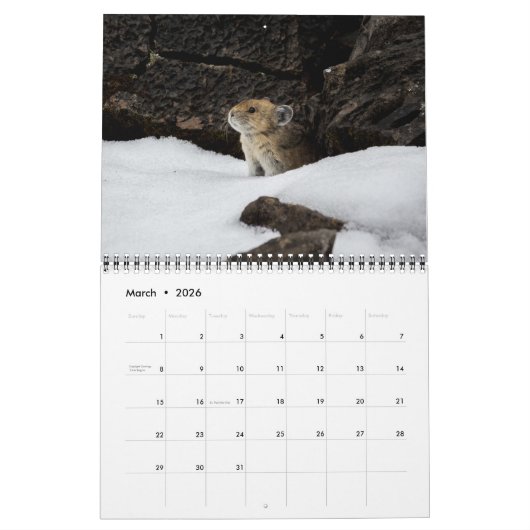 Calendrier PIka 2023 (Mar 2026)