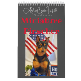 Calendrier Pinces miniatures