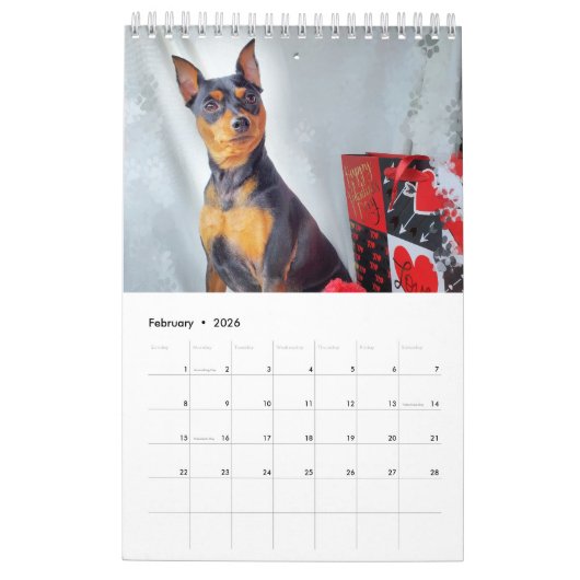 Calendrier Pinces miniatures (Feb 2026)