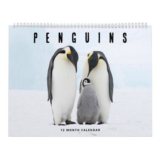 Calendrier Pingouins (Protection)