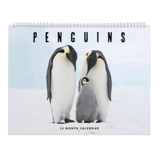 Calendrier Pingouins