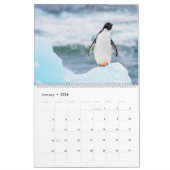 Calendrier Pingouins (Jan 2026)