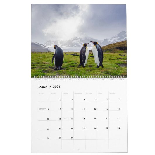 Calendrier Pingouins (Mar 2026)