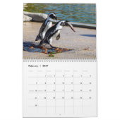 Calendrier Pingouins africains 2026 (Feb 2027)