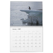 Calendrier Pingouins de l'Antarctique (Jan 2027)