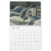 Calendrier Pingouins de l'Antarctique (Mar 2027)