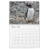 Calendrier Pingouins de l'Antarctique (Feb 2026)