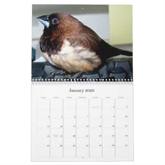 Calendrier Pipi le pinson adorable (Jan 2026)