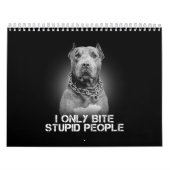 Calendrier Pitbull Dog (Protection)