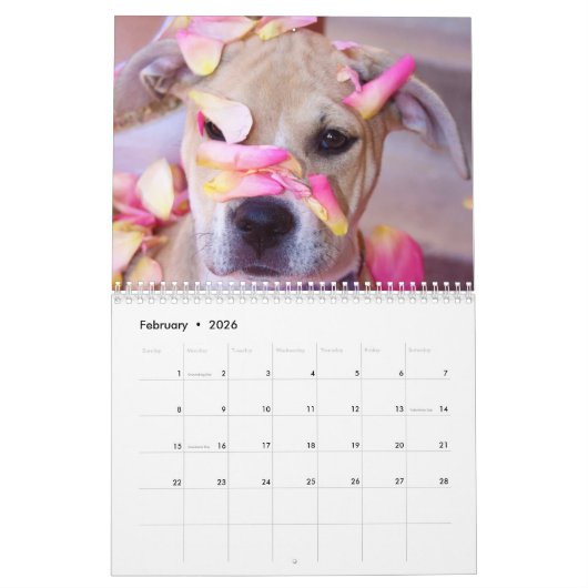 Calendrier Pitbull fier (Feb 2026)