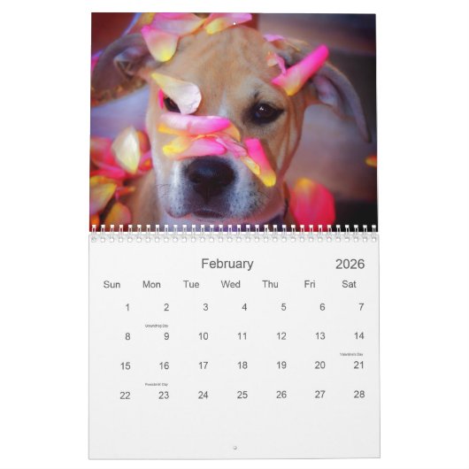 Calendrier Pitbull fier (Feb 2026)