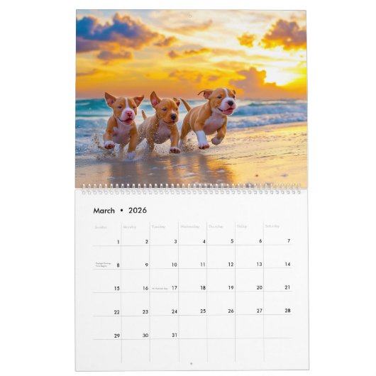 Calendrier PitBull Puppy Chien Love Pit Bulles (Mar 2026)