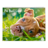 Calendrier PitBull Puppy Chien Love Pit Bulles (Protection)