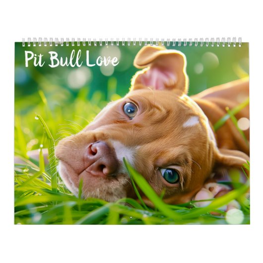 Calendrier PitBull Puppy Chien Love Pit Bulles (Protection)