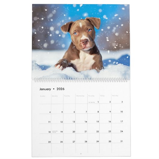 Calendrier PitBull Puppy Chien Love Pit Bulles (Jan 2026)