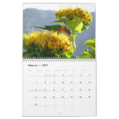 Calendrier Pittoresque Australie 2021 (Feb 2027)