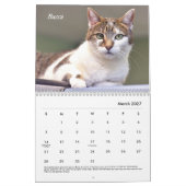 Calendrier Place Tabby (Mar 2027)