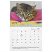 Calendrier Place Tabby (Feb 2027)