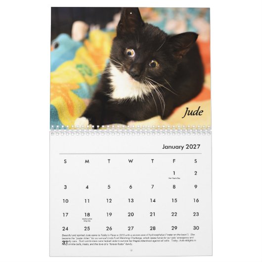 Calendrier Place Tabby (Jan 2027)