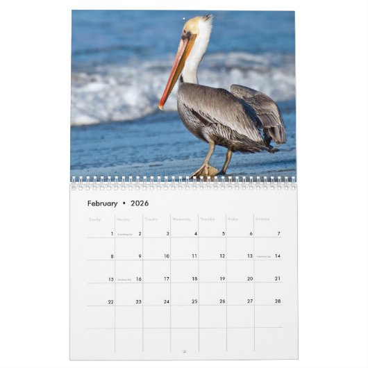 Calendrier Plage Birds 2025 (Feb 2026)