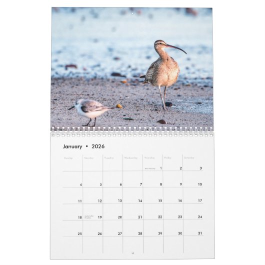 Calendrier Plage Birds 2025 (Jan 2026)