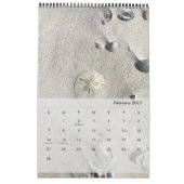 Calendrier Plages de la côte est de Floride, nature des eaux  (Feb 2027)
