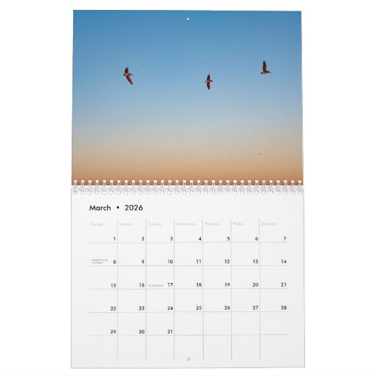 Calendrier Plages, oiseaux et chiens sur Hilton Head Island (Mar 2026)
