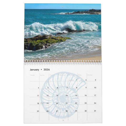 Calendrier Plages Tropicales Cabo San Lucas Heureusement Jama (Jan 2026)