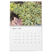 Calendrier Plante 2022 Colorful Succulent (Feb 2026)